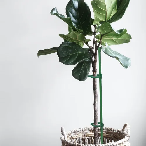 Miniatura 6 de 20 estacas de soporte para plantas, altura ajustable, para jardín, con 40 clips para plantas y 10 tubos de conexión para orquídeas, rosas, peonías