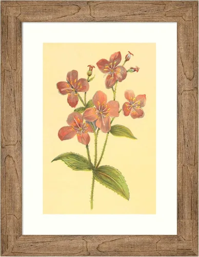 Amanti Art Framed Wall Art Print 24x18 Deer Grass and Meadow Beauty by PI Collection, Flowers Wall Art, Vintage Decor, Small Poster Painting Artwork