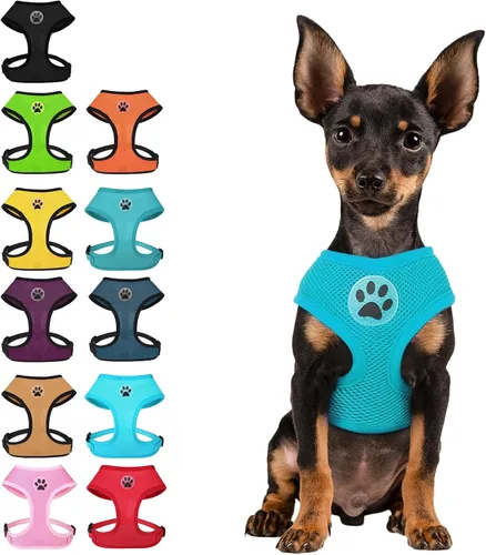 Miniatura 19 de BINGPET Arnés para perro sin tirones, arnés de chaleco tipo step-in de malla para todo clima para perros pequeños, arnés de malla transpirable