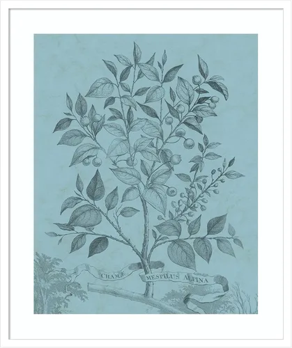 Miniatura 17 de Amanti Art Vision Studio - Póster enmarcado de 24 x 20 pulgadas, diseño botánico en V verde azulado por Vision Studio, arte de pared de naturaleza