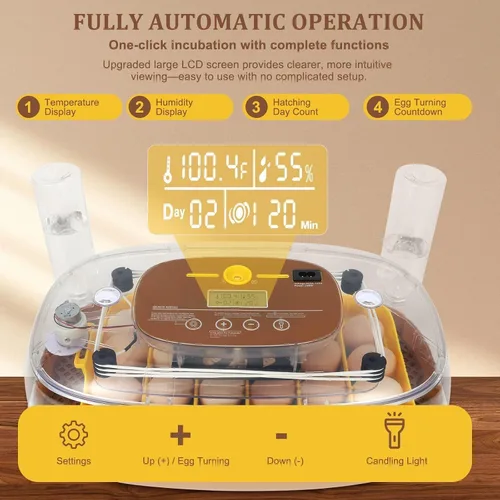 Miniatura 2 de Incubadora de 24 huevos para eclosión con volteador automático, control inteligente de temperatura y humedad, visualización de 360°, ovoscopio