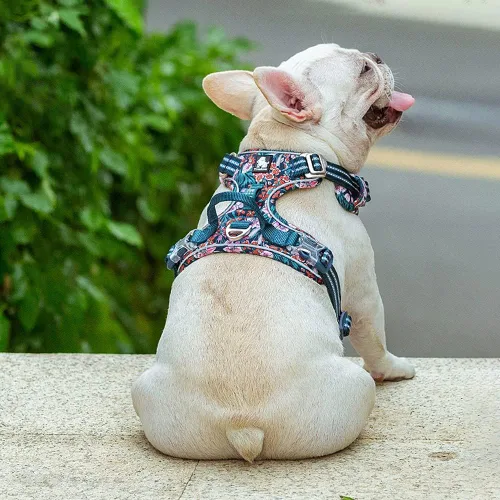 Miniatura 7 de Arnés reflectante sin tirones para perro, con asa y clip frontal, arnés acolchado de neopreno para perros pequeños, medianos y grandes, 3 hebillas