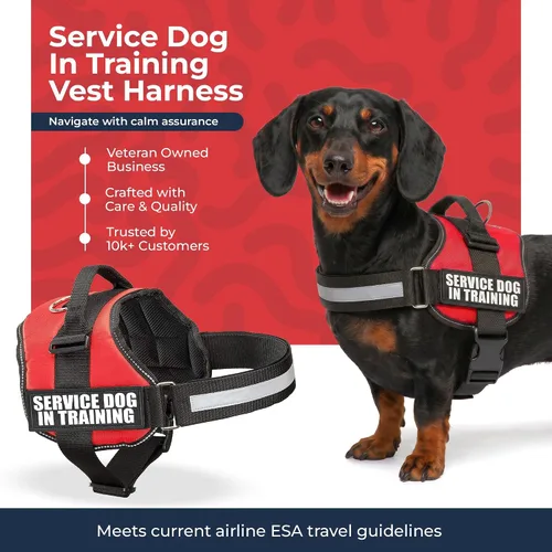 Miniatura 4 de Industrial Puppy Arnés de chaleco de entrenamiento para perro de servicio, chaleco duradero y ajustable con correas reflectantes, parches