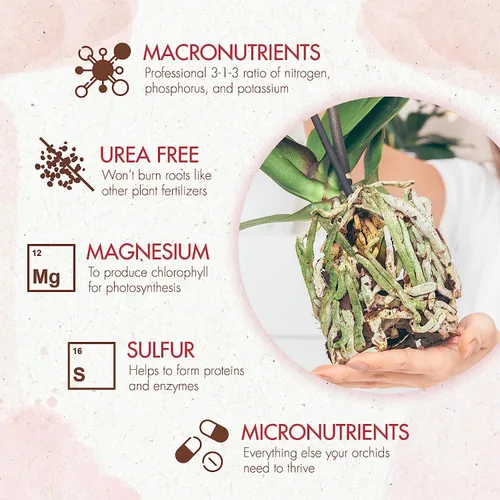 Miniatura 3 de Alimento para plantas de orquídeas (5 oz, más de 50 aplicaciones) – Gránulos de fertilizante estimulante de floración para orquídeas en macetas