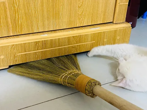 Miniatura 7 de Escoba barredora hecha a mano – Escoba de paja suave vietnamita para limpieza – Decorativa 9.45 pulgadas de ancho, 52.37 pulgadas de largo