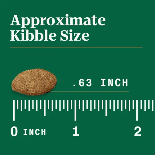 Miniatura 12 de Nutro Alimento ultra seco para perros adultos con un trío de proteínas de pollo, cordero y salmón, bolsa de 4 libras