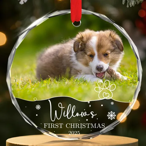 Miniatura 8 de FLOCHIL Adornos de Navidad Personalizados para Gatos Adornos de Navidad Personalizados con Foto y Nombre para Árboles de Navidad, Adornos de Navidad