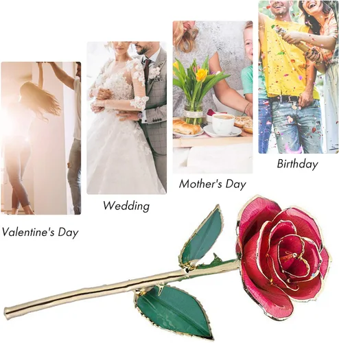 Miniatura 7 de Ejoyous Regalo de rosa para el día de la madre para mamá, rosa sumergida en oro de 24 quilates chapada en oro real preservada para siempre con Rosa