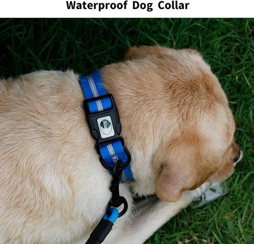 Miniatura 6 de NIMBLE Collar de perro impermeable para mascotas, antiolor, duradero, ajustable, de PVC y poliéster, suave con franja de tela reflectante, collares