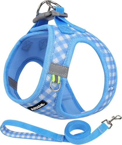 AIITLE Juego de arnés y correa para perro, sin tirones, arnés de malla suave reflectante para cachorros y gatos extra pequeños, arnés de chaleco a