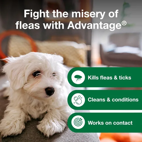 Miniatura 5 de Advantage Champú para pulgas y garrapatas para perros y perros adultos Mata pulgas y garrapatas 8 onzas