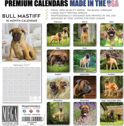 Miniatura 7 de Razas de Perros 2017 Bullmastiff