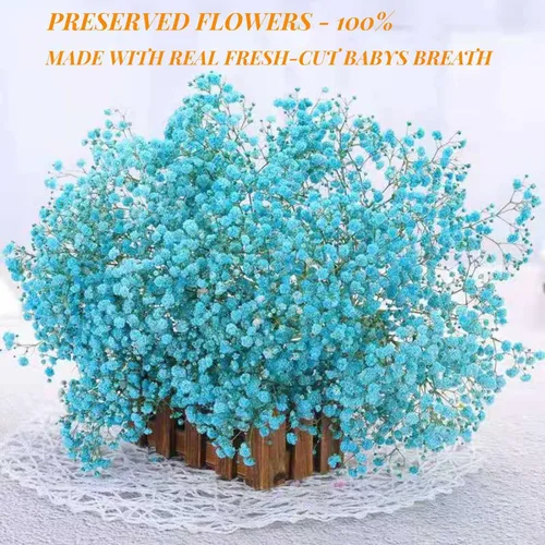 Miniatura 2 de Ramo de flores secas de aliento de bebé, 17 pulgadas, más de 2500 flores secas azules, ramas de gypsophila naturales para bodas, decoración de D-blue