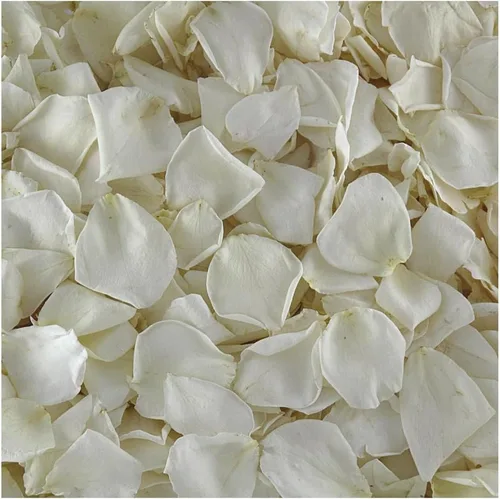 Pétalos de rosa reales ecológicos color marfil, 15 tazas liofilizados y biodegradables para bodas, lanzamiento, pasillos y spa, fabricados en