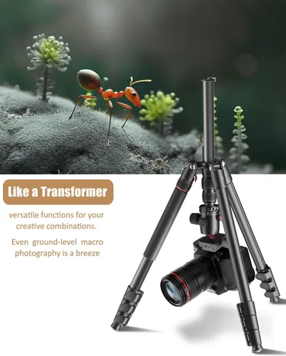 Miniatura 4 de CAMBOFOTO Trípode Profesional para Cámara DSLR de 80", Cabeza Esférica SLR Trípode de Fotografía de Aluminio y Monopie con Bolsa de Transporte