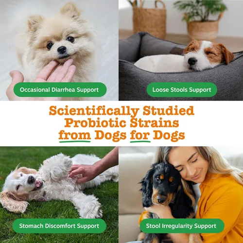 Miniatura 4 de Zesty Paws Probiótico canino nativo, para diarrea ocasional + salud digestiva, flora intestinal y apoyo del sistema inmunológico, probióticos