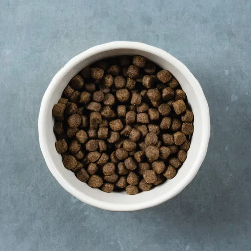 Miniatura 13 de Evolve Pet Food Classics Receta de carne deshuesada, cebada y bisonte, 3.5 libras