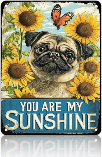 Miniatura 20 de Póster de metal retro con texto en inglés «You Are My Sunshine» de metal con texto en inglés «You Are My Sunshine» («You Are My Sunshine»)