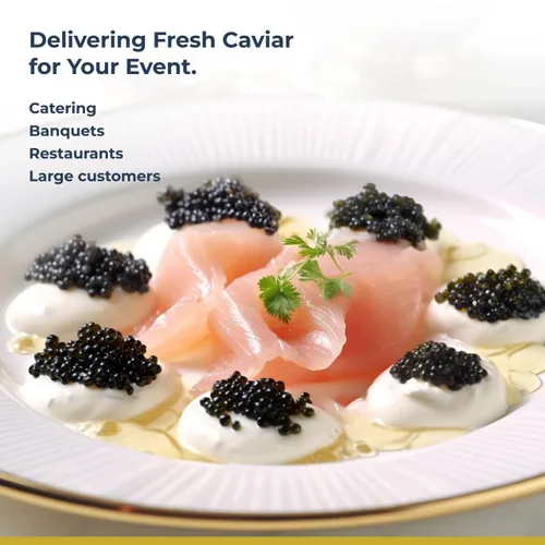 TSAR CAVIAR Caviar Osetra Premium 4.5 oz (125G) - ENTREGA POR LA NOCHE - Esturión de caviar negro - Huevos de caviar de Osetra salados a la luz -