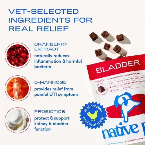 Miniatura 4 de Native Pet Tratamiento de infecciones urinarias para perros, suplemento de arándano para control de la vejiga y apoyo renal, previene la infección