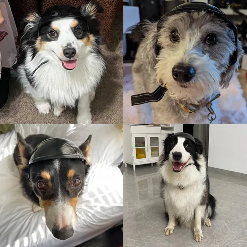 Miniatura 3 de LESYPET Casco para perros extra pequeños, casco de motocicleta ajustable para perros con diseño de agujero para las orejas, ideal para montar al