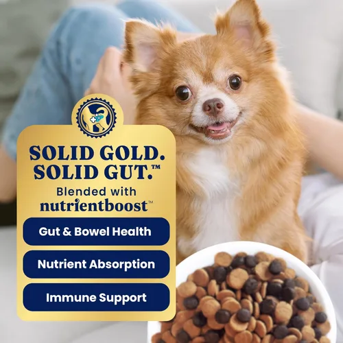 Miniatura 6 de Solid Gold Toy & Small Breed Dog Food Dry Small Bites - Alimento para perros de grano entero de bisonte - Croquetas saludables para perros con alta