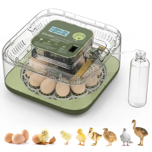 Incubadora de 12 huevos con giro automático, recarga automática de agua y control de temperatura/humedad, además de guía de eclosión, criador Verde