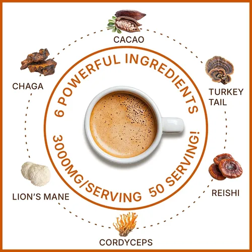 Miniatura 6 de MegaPlants Cacao Magic (50 porciones) Mezcla de superalimento de 5 hongos Melena de león, Reishi, Chaga, Cordyceps, Cola de Pavo Batido