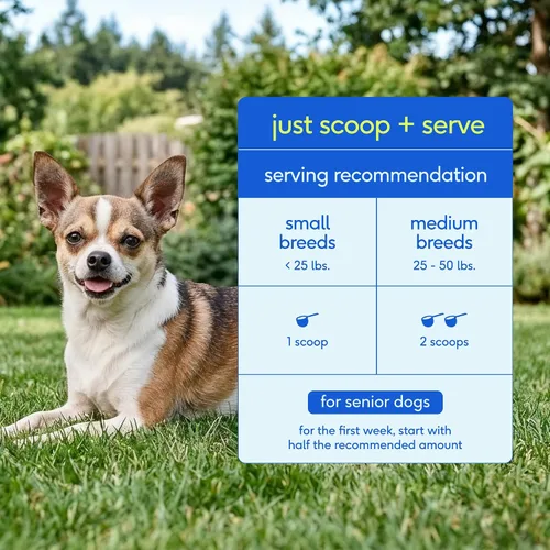 Miniatura 7 de Native Pet Vitaminas y suplementos diarios para perros mayores – Polvo multivitamínico 12 en 1 para perros mayores – Apoya la movilidad