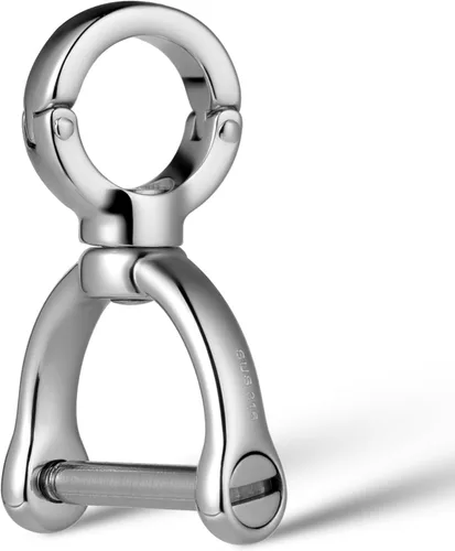 TISUR Llavero pequeño para automóvil, llavero de anillo en D con grillete de tornillo, llavero giratorio resistente para llavero, bolso, llavero,