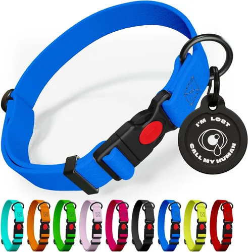 Collar de perro ajustable con código QR identificación adjunta, fabricado en Estados Unidos, collar de perro resistente al agua con hebilla de Azul