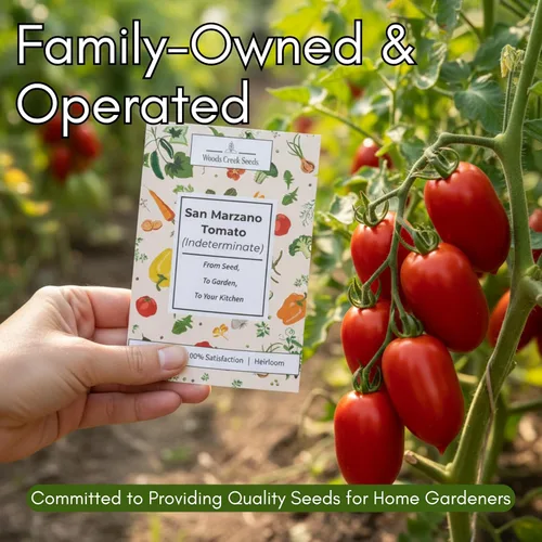 Miniatura 8 de Woods Creek Seeds: Semillas de tomate San Marzano para plantar, semillas de tomate tradicionales para plantar al aire libre, interior, patio
