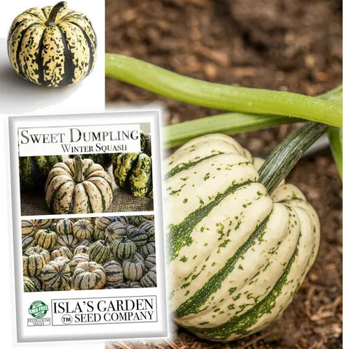 Miniatura 2 de Semillas de calabaza de invierno Sweet Dumpling para plantar, más de 50 semillas de reliquia por paquete, semillas de jardín de Isla