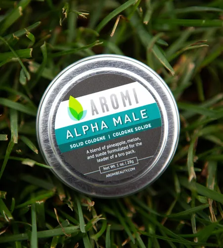 Miniatura 4 de Colonia sólida Fragancia aromática, Woodsy para hombre, aroma vegano y libre de crueldad, colonia asequible, relleno de calcetines