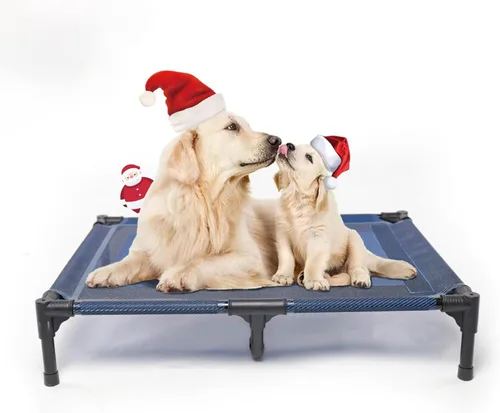Miniatura 12 de suddus Cama elevada para perros impermeable al aire libre, cama elevada portátil para perros, camas para perros fuera del suelo, cama para perros