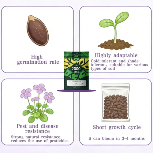 Miniatura 6 de Semillas de Viola - 2000 unidades - Flor de temporada fresca para macetas, bordes o cajas de ventana