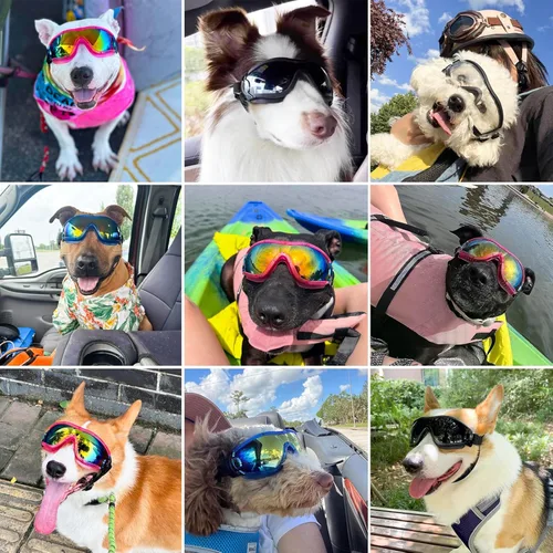 Miniatura 2 de Gafas de sol para perros para mascotas medianas y grandes, protección UV, protección contra el viento, protección contra el polvo, correa ajustable