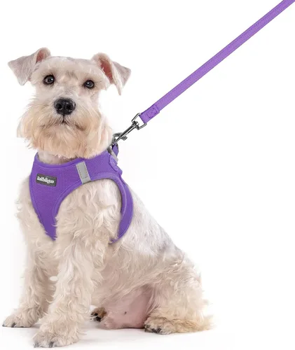 Miniatura 13 de rabbitgoo Juego de arnés para perro de tamaño pequeño y correa, chaleco ligero suave para cachorro, arnés de malla transpirable para mascotas