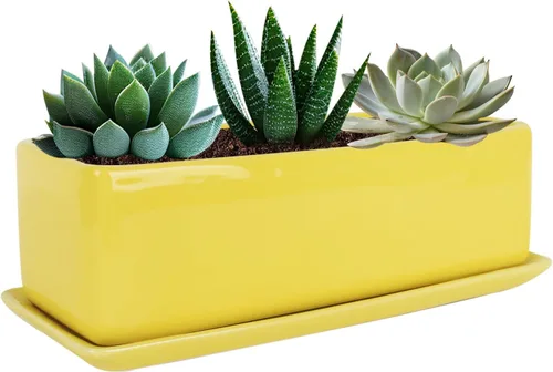 Miniatura 8 de Vencer Maceta rectangular moderna minimalista de cerámica para suculentas de 12 pulgadas, caja con ventana con platillo, soporte de escritorio