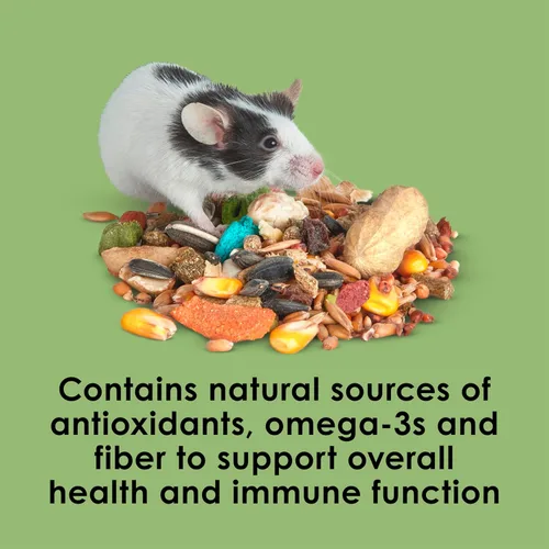 Miniatura 6 de Comida para ratones y ratas Kaytee Fiesta, mezcla nutritiva y divertida, apoya la salud dental y la digestión, 2 libras
