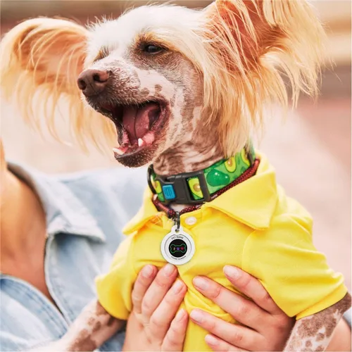 Miniatura 5 de Placa de identificación de perro con código QR, placa de identificación de mascota silenciosa grabada con perfil en línea («Bingo Bone»)