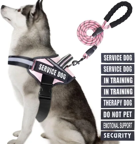 Miniatura 10 de Juego de arnés y correa para perro de servicio, arnés de entrenamiento para perro Animire con 10 parches para perros, correa reflectante para perro
