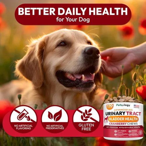 Miniatura 6 de Tratamiento de infecciones urinarias para perros, 170 masticables de arándano para perros, infección del tracto urinario, salud de la vejiga
