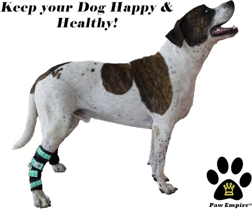 Miniatura 3 de Par de soportes para piernas de perro, ultra apoyo, cómodo, resortes de metal duales, envolturas para patas traseras, soporte de corvillo canino