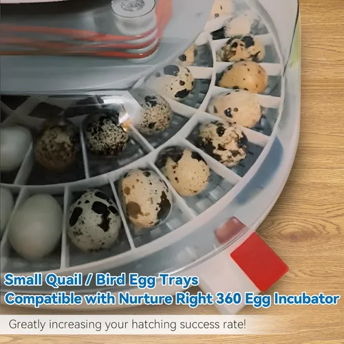 Miniatura 5 de Enhon Bandeja de 48 huevos compatible con la incubadora Nurture Right 360, bandeja giratoria de huevos de plástico de repuesto para incubar