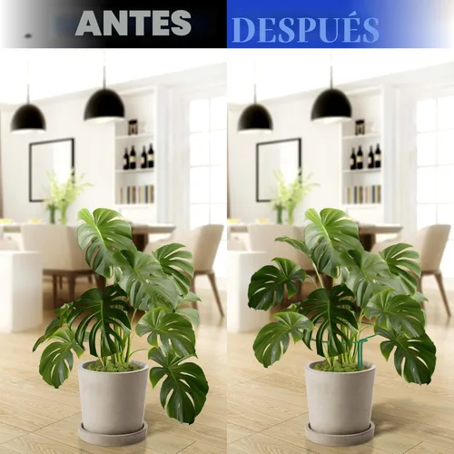 Miniatura 5 de K-Brands Paquete de 12 estacas de soporte para plantas, anillo de soporte de peonía medio redondo resistente y jaula para plantas