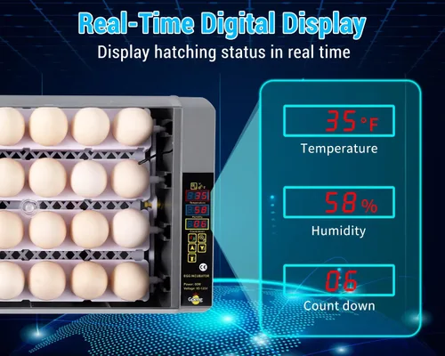 Miniatura 2 de Gpeng Incubadora de huevos, incubadora de 24 huevos con pantalla digital, giro automático de huevos, control automático de temperatura, para incubar