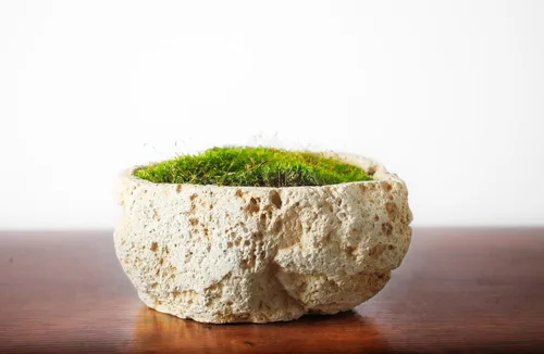 Miniatura 8 de SuperMoss (21539) Mood Moss preservado, bolsa de 200 pulgadas cúbicas (aprox. 8 onzas), verde fresco