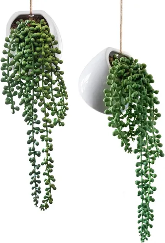 Royal Imports Planta artificial Senecio, cadena de perlas, macetas decorativas de cerámica para colgar en la pared, plantas Rowleyanus realistas,