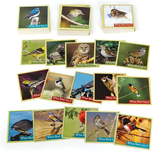 Miniatura 5 de Outset Media What Bird Am I? – El juego de identificación de aves – Contiene 300 cartas para 2 o más jugadores a partir de 14 años